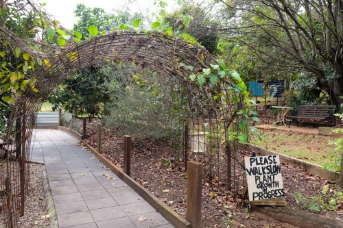 australie-queensland-glass-house-mountains-ecolodge-orchard