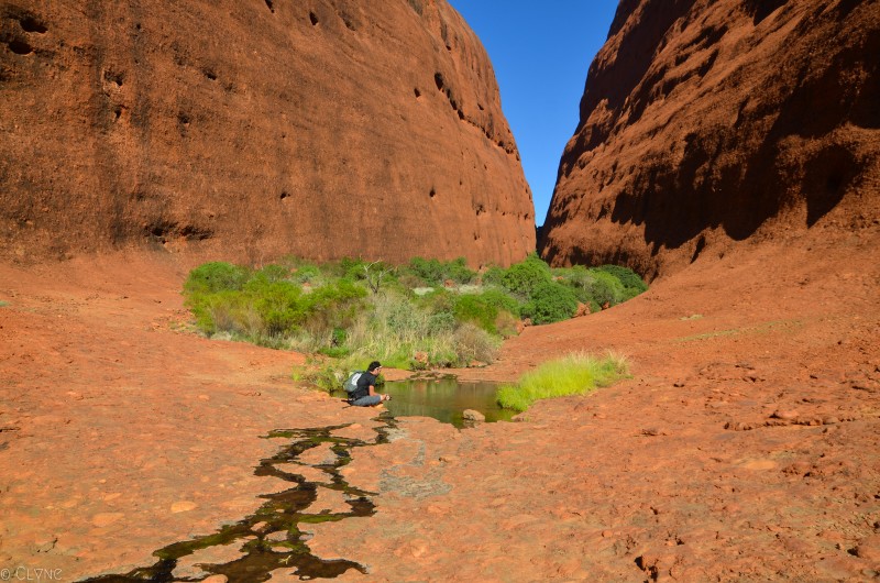 australie-kata-tjuta