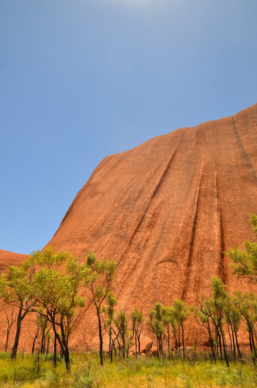 australie-uluru