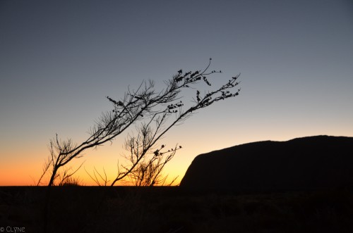 australie-uluru