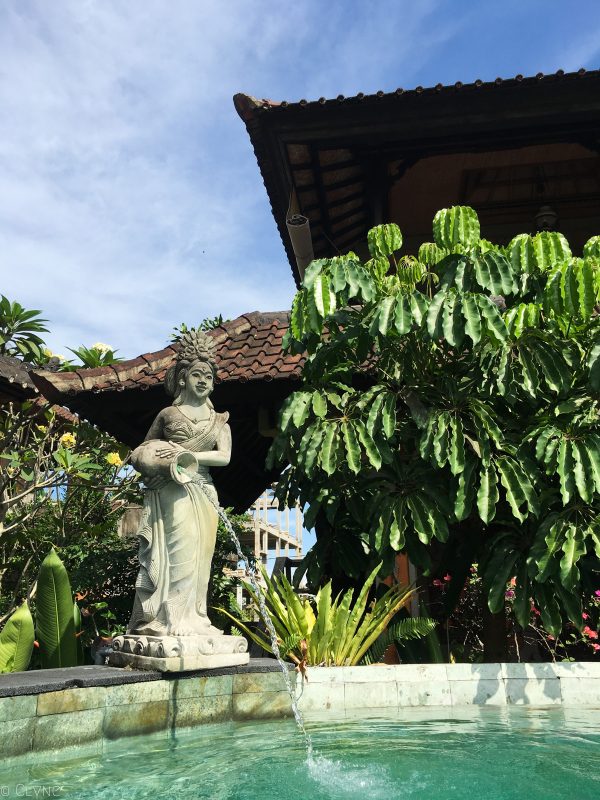 bali-ubud-ala-green-lagoon