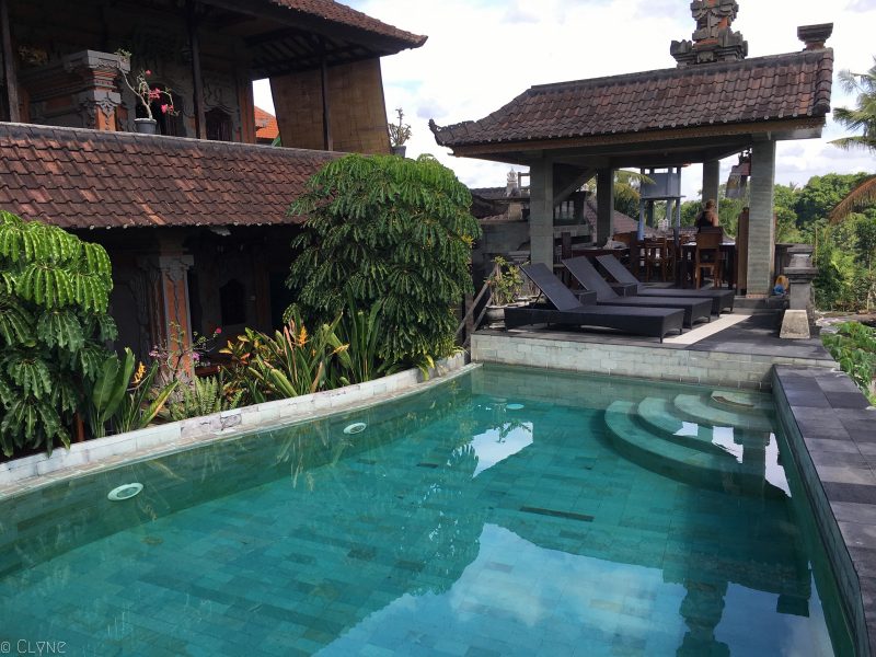 bali-ubud-ala-green-lagoon